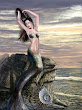 Mermaid Mermaids