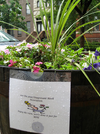 Communal containers along the street make a pretty addition to the block and help get people interested. Could you do something like this where you live?