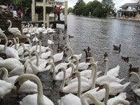 IMG_3454 IMG_3454