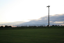 IMG4412-XL