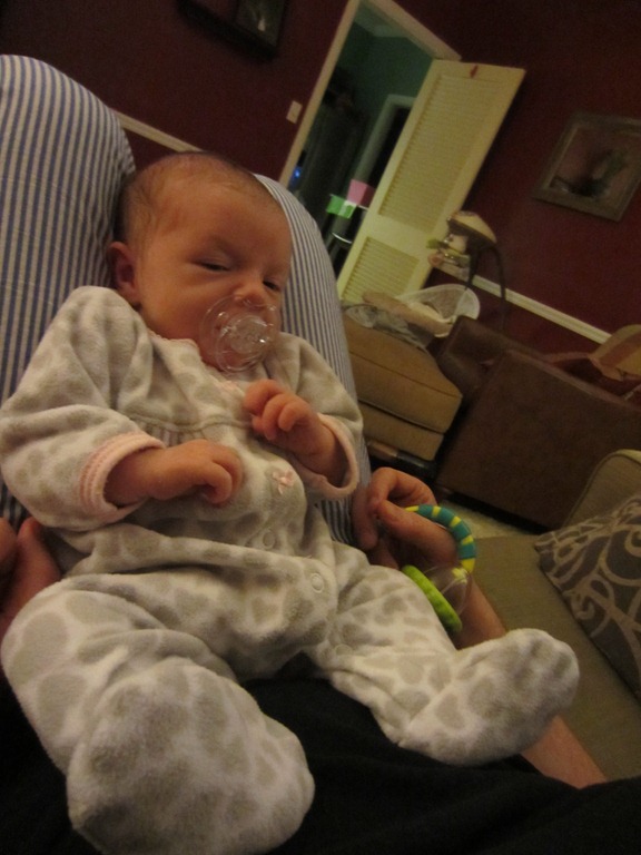 [Zoey-chilling-on-Daddys-lap23.jpg]