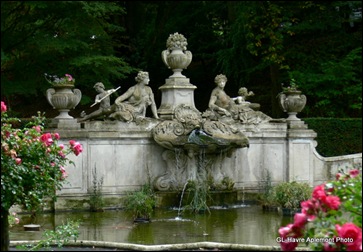 La roseraie 005