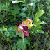 2012-06-08_11-24-13_450