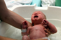 Bath time... oh he did not like that!