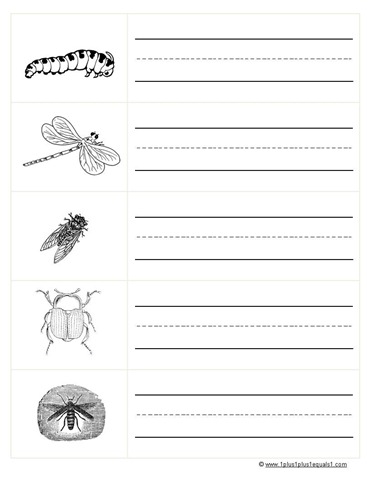 [Word-Cards-Bugs52.jpg]