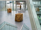 Scriptorium Exhibition by Jorn Ronnau