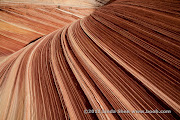 The Wave, Coyote Buttes, Arizona