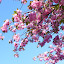 Spring 2011