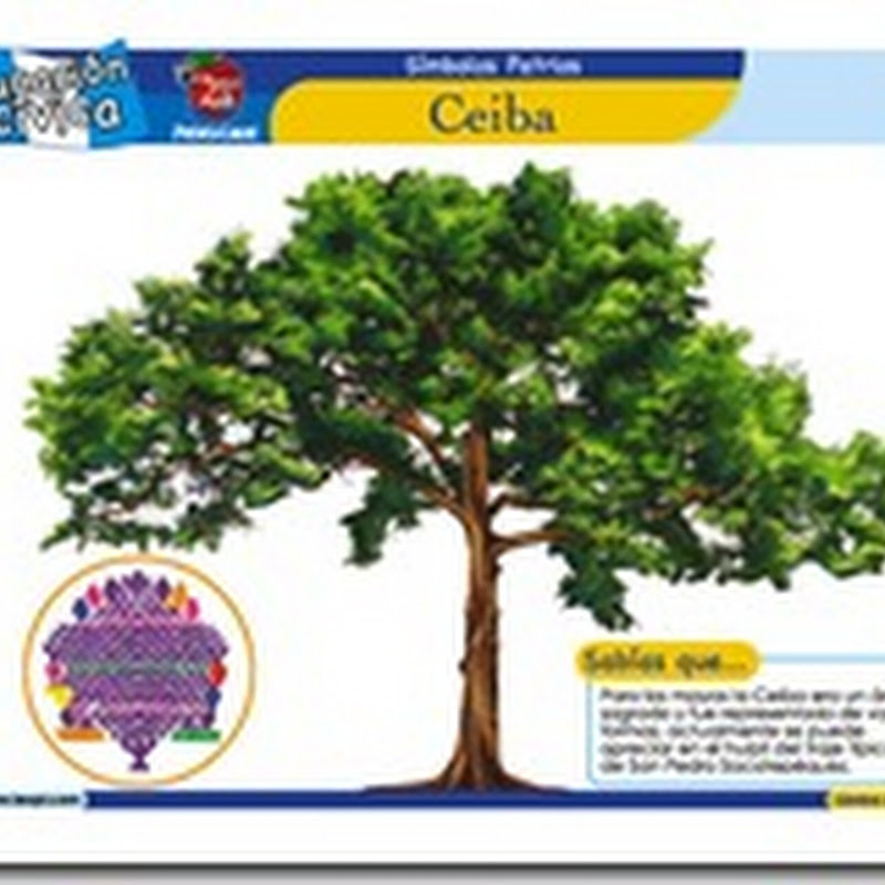 Colorear dibujos símbolos patrios de Guatemala