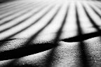 Work for Advanced Principles