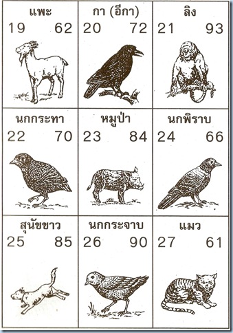 สัตว์ 19-27