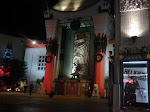 IMG00655-20100129-2335.jpg