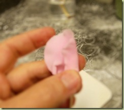 pinkroses8 pinkroses8