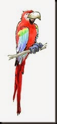 parrot1a