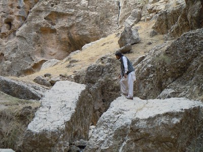 DSCN4019.jpg