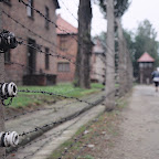 3b-Krakow Auschwitz (31).JPG