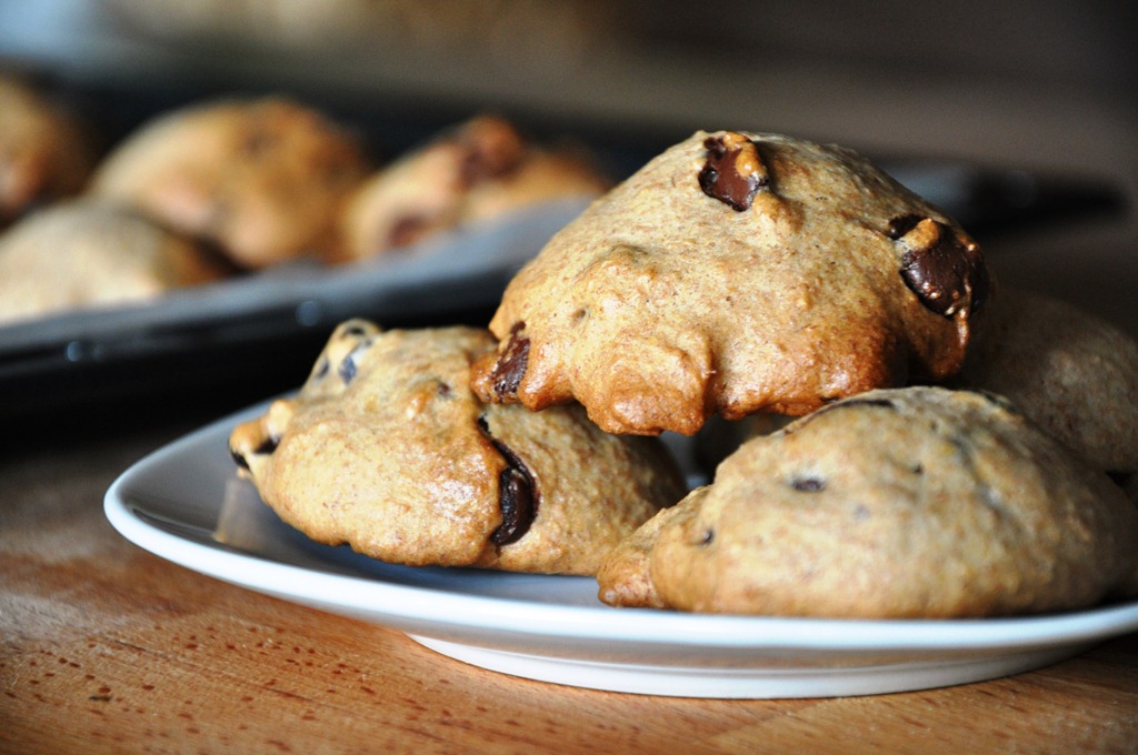 [DSC_1857%255B6%255D.jpg]