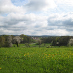 IMG_5041.JPG