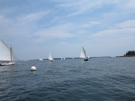 I certainly do, Sharkey!  I also enjoy watching all of the sailboats around us.  Did you know that sailing has been around since the beginning of the Middle Ages?
