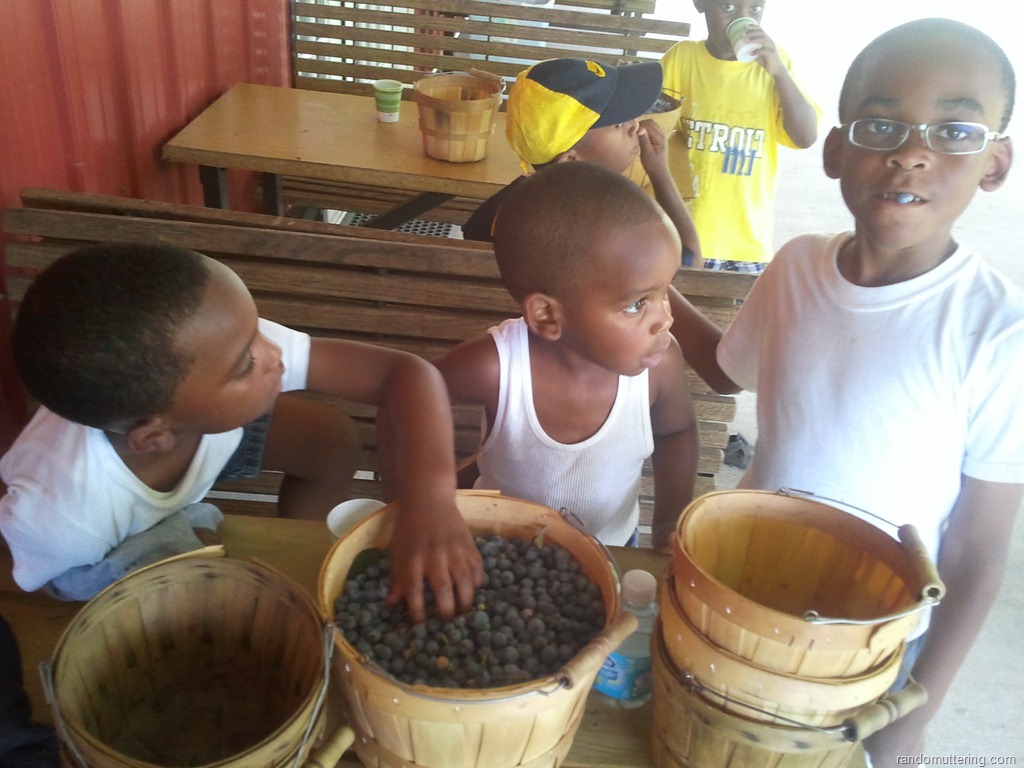 [blueberrypicking3%255B11%255D.jpg]
