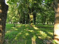 Cmentarz przy ul. Samotnej w Poznaniu