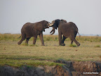 Chobe Nationalpark