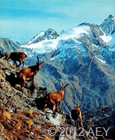 aa132 img132