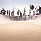 DSC_0098.jpg