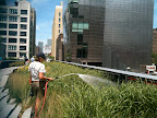 Maeve, a gardener at the High Line, waters various grasses.