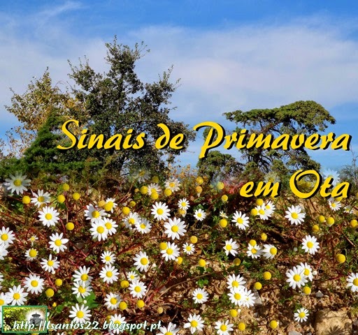 [Sinais%2520Primavera%2520-%2520Ota%2520-%252013.03.14%2520%25281%2529%255B2%255D.jpg]