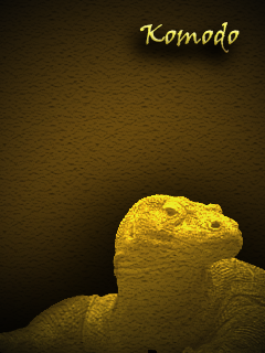 [Komodo%2520Gold2%255B2%255D.png]