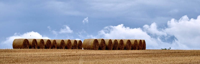 [Big%2520bales%255B3%255D.jpg]