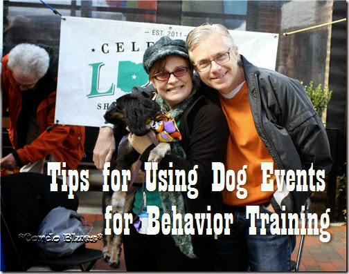 how to use dog events for behavoiral rehab training