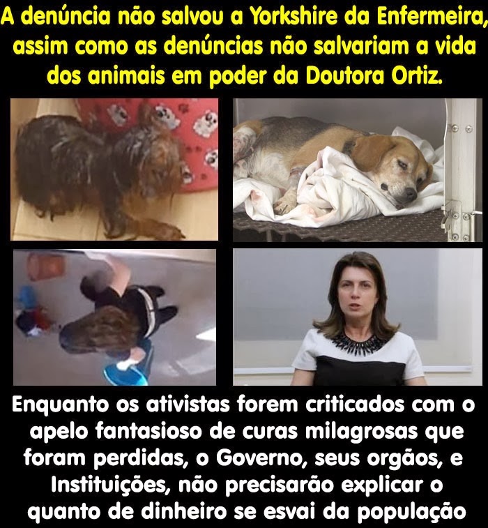 [royal-corrupcao%255B3%255D.jpg]