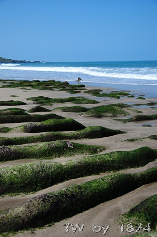 [DSC_6014%255B5%255D.jpg]