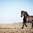IMG_2119.jpg