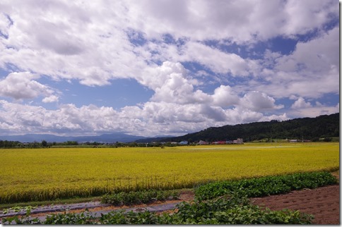 IMGP9959 IMGP9959