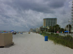 IMG00198-20090802-1233.jpg