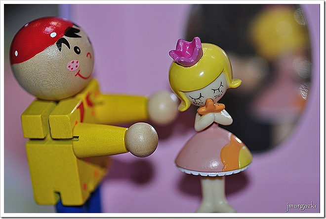 DSC_6562 DSC_6562