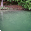 dsc04241.jpg