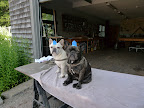 Some of What we did in Maine