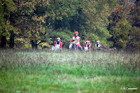 IMG_8198.JPG Photo