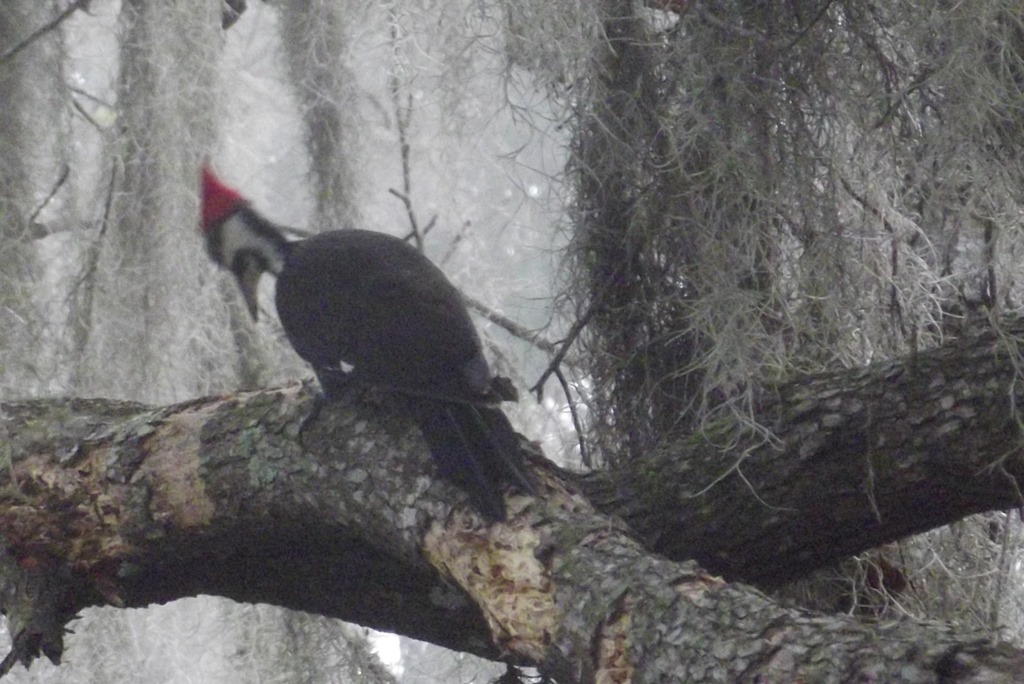 [DSCF7881%255B7%255D.jpg]