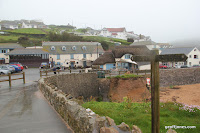 IMG_9347.JPG Photo