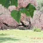 DSCN2984.JPG