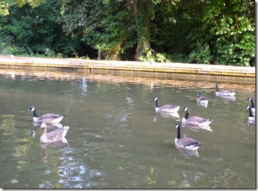 11 view from our table at 3 horseshoes winkwell