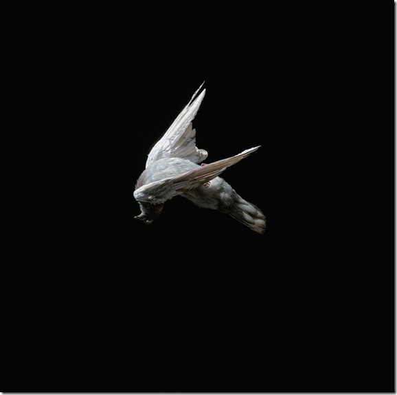Jeremy-Geddes-Miserere 6 Jeremy-Geddes-Miserere 6