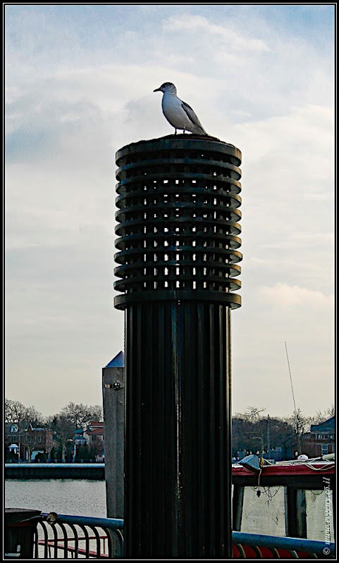Вид на Америку: Sheepshead bay (foto america  фото путешествия моря и океаны new york  0101 NY%25252C%252520Sheepshead 4)