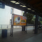 DSC00547.JPG