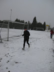 start to run 2010: Foto